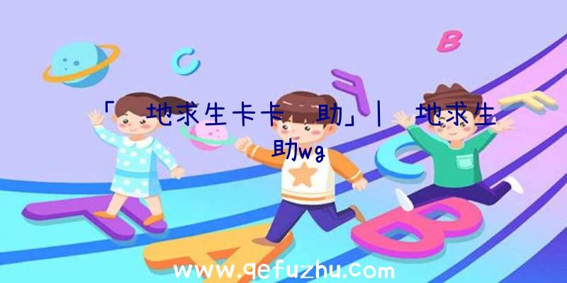 「绝地求生卡卡辅助」|绝地求生辅助wg